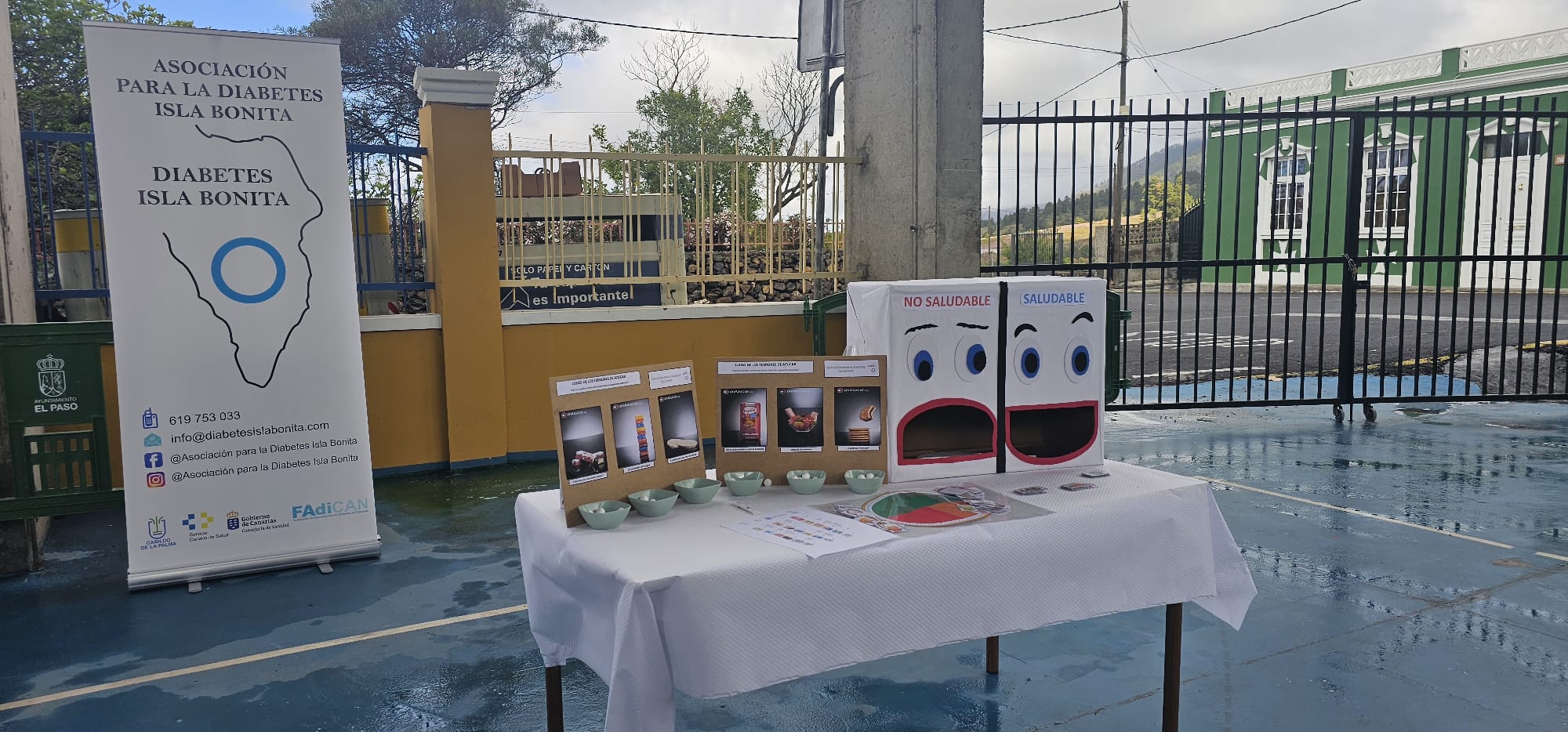 ceip la rosa 5