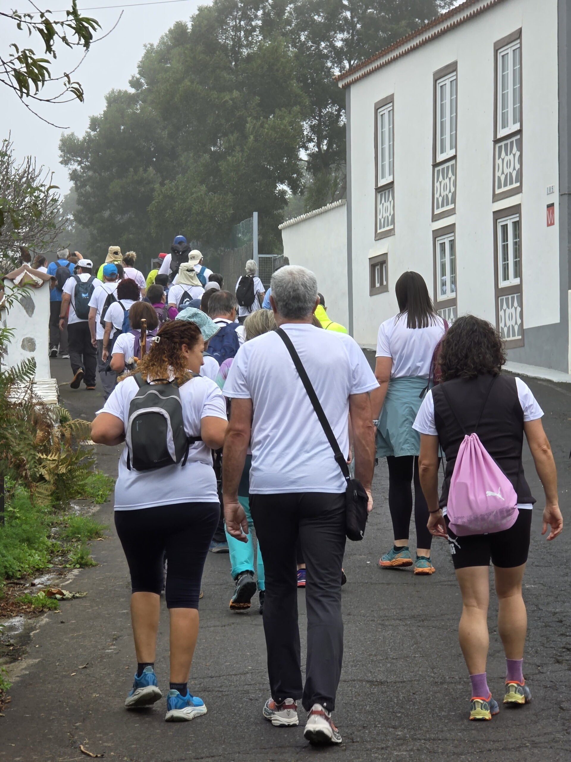 III Caminata